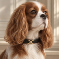 Luxury Dog Collar - Fine Jewellery